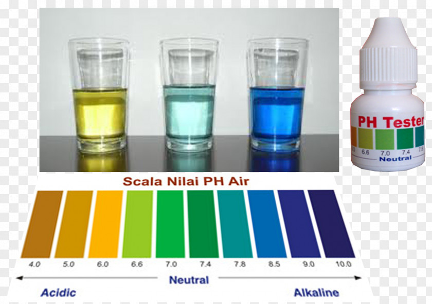 Water Alkali Ionizer PH Drinking PNG