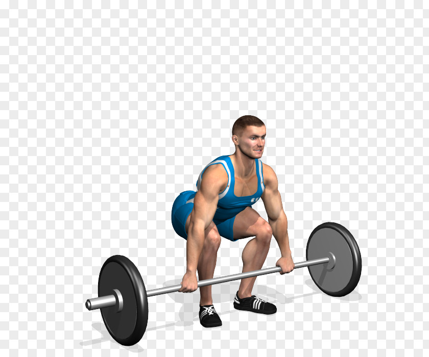 Barbell Weight Training Physical Exercise Muscle Fitness PNG