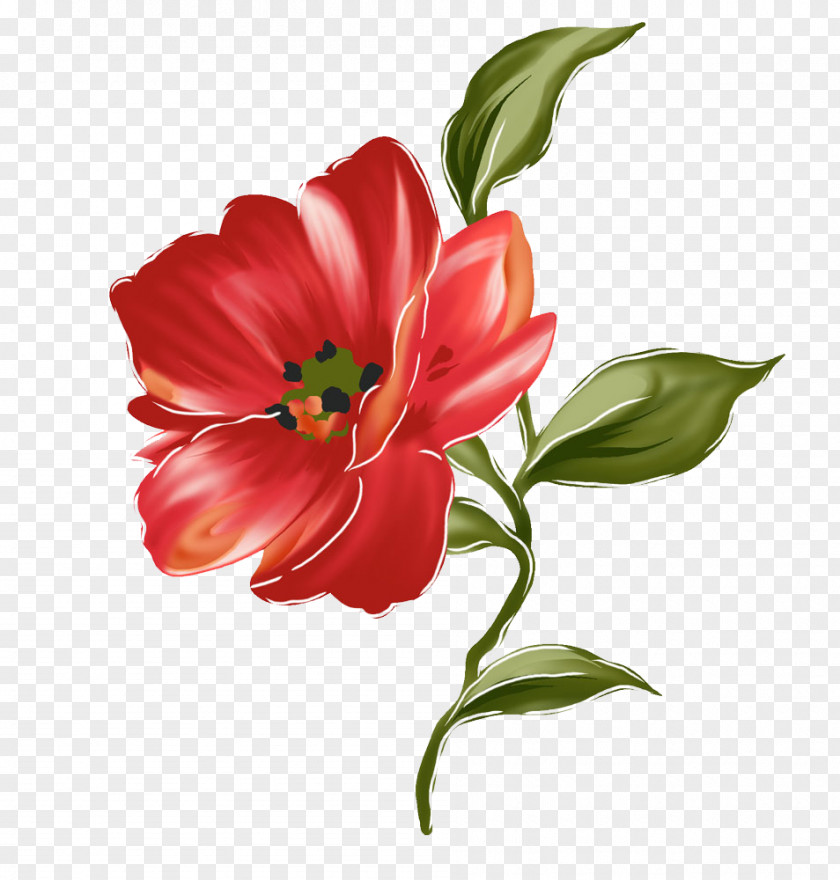 Flower Tulip Floral Design Painting PNG