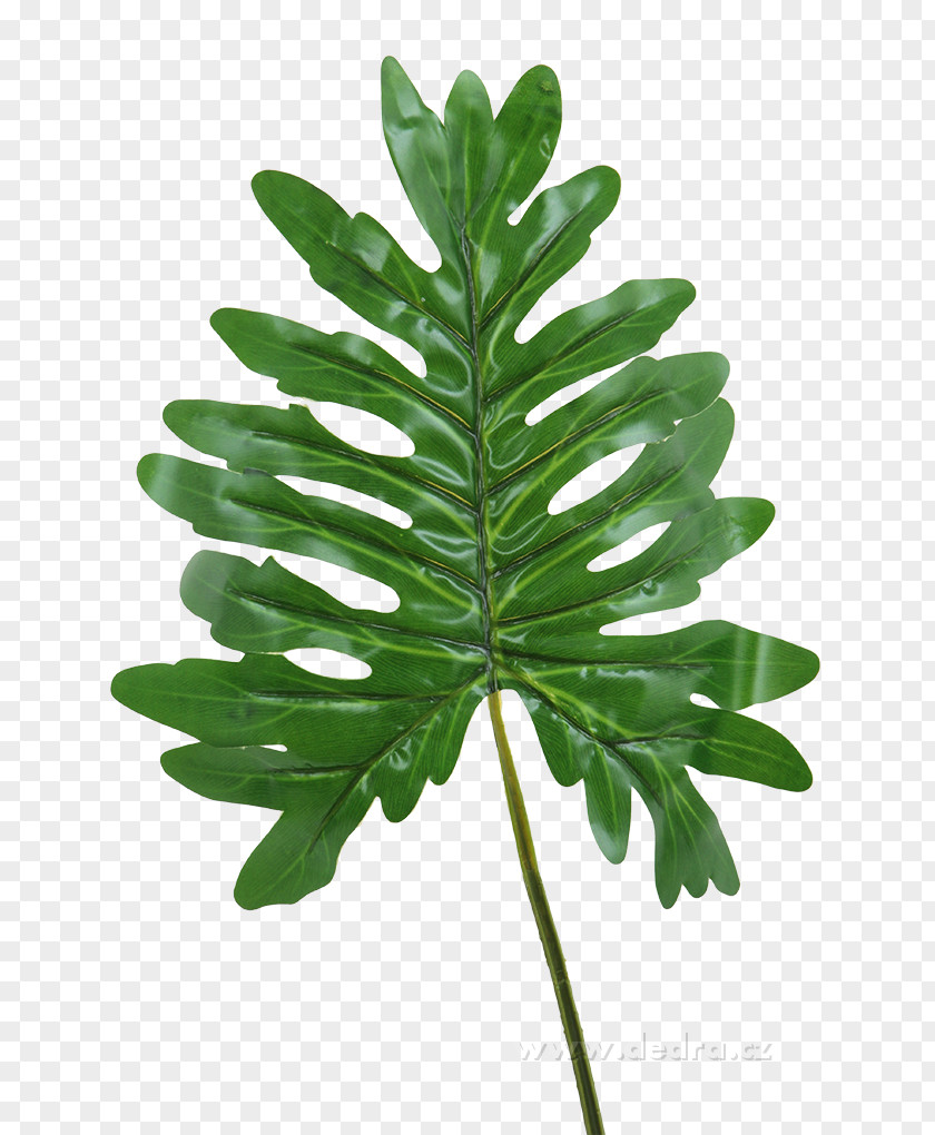 Monstera Leaf Shape Artificial Flower Plant PNG