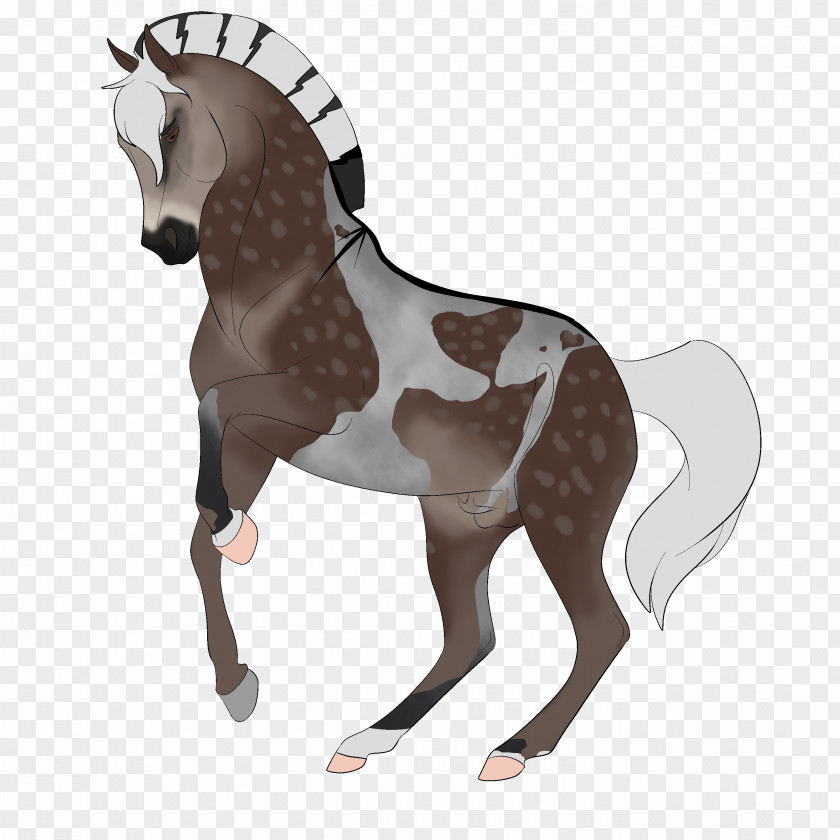 Mustang Stallion Rein Pony Halter PNG