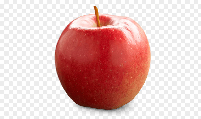 Red Apple Empire Apples Idared Delicious Jonagold PNG