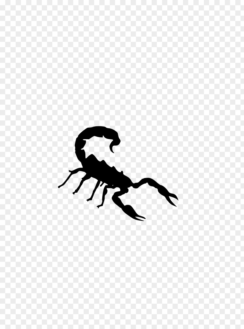 Silhoutte Scorpion Clip Art PNG
