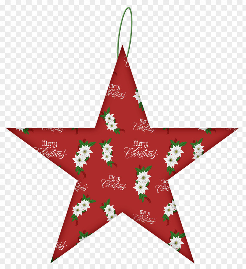 Star Vector Graphics Pest Control Twinkling Finalytiq Limited PNG