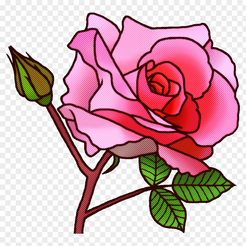 Floral Design PNG