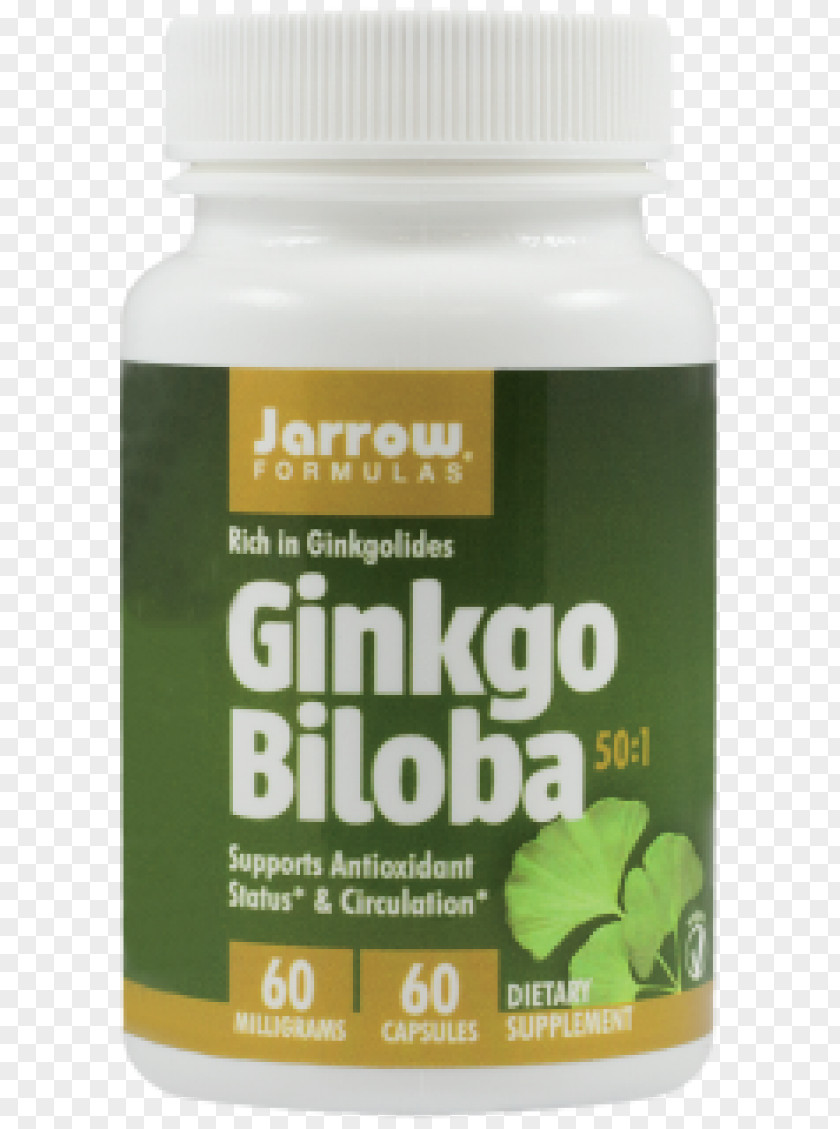 Ginkgo-biloba Dietary Supplement Ginkgo Biloba Vegetarian Cuisine Curcumin Phytosome PNG
