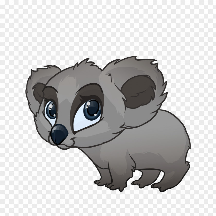 Koala Raccoon Mammal Procyonidae Carnivora Cat PNG