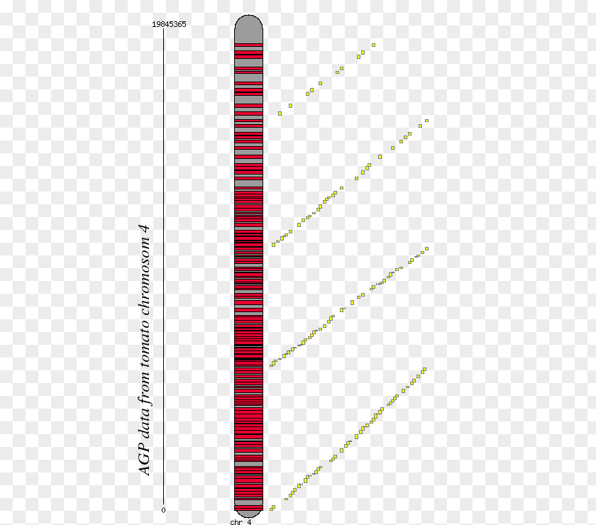 Line Angle Chromosome 4 Font PNG