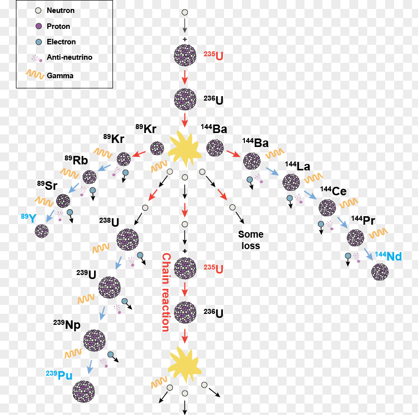 Particle Physics Uranium-235 Plutonium-241 Radioactive Decay Chain PNG