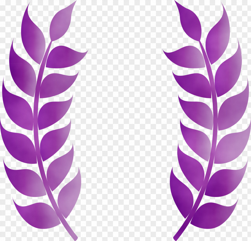 Peace Dove Olive Branch Stroke Ekphrasis PNG