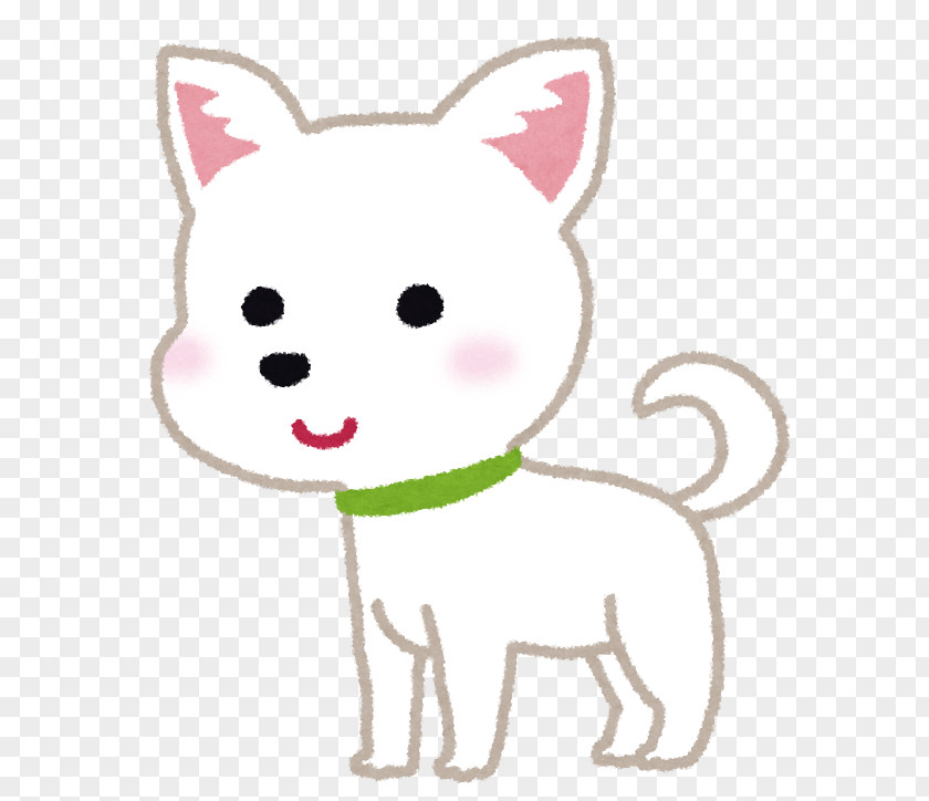 Puppy Whiskers Chihuahua Cat ドッグフィールドＭＡＩＫＯ PNG