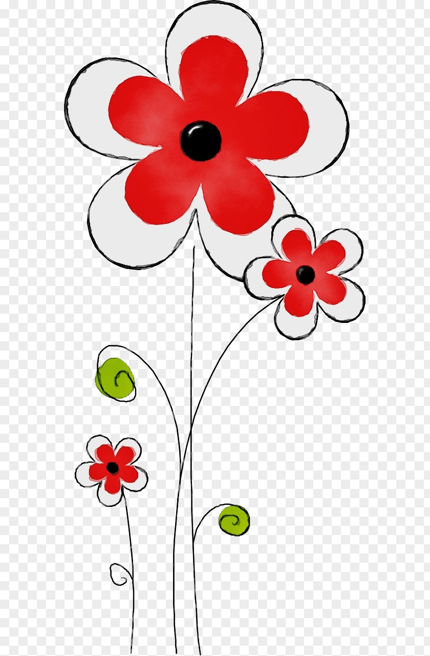 Wildflower Coquelicot Flowers Background PNG