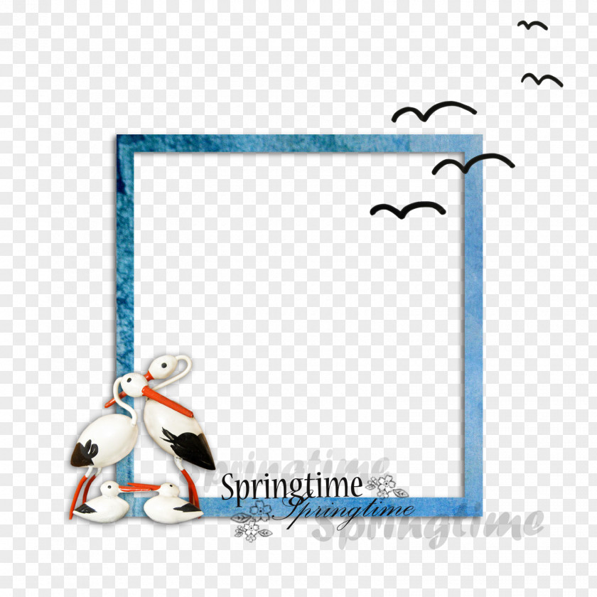 Bird Picture Frames Cartoon Line Font PNG