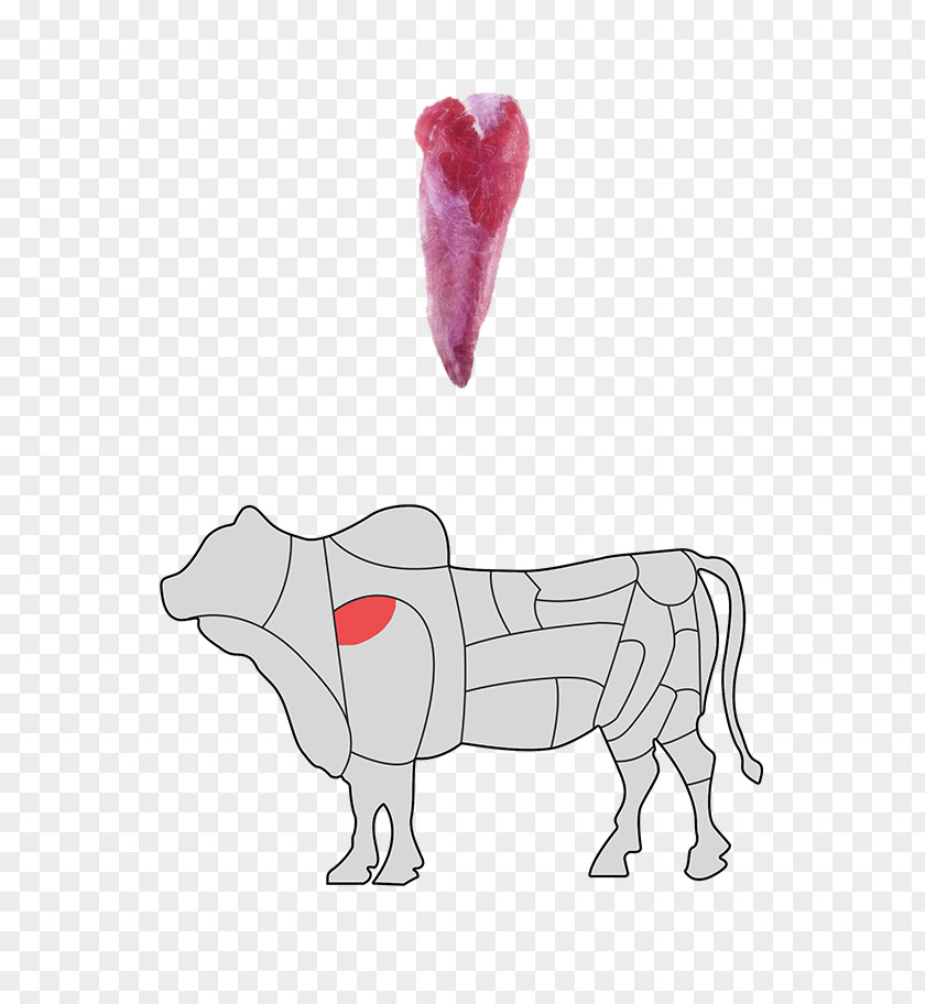 Horse Canidae Dog Finger PNG