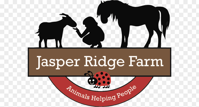 Jasper Ridge Farm Animal Snowball Horse PNG