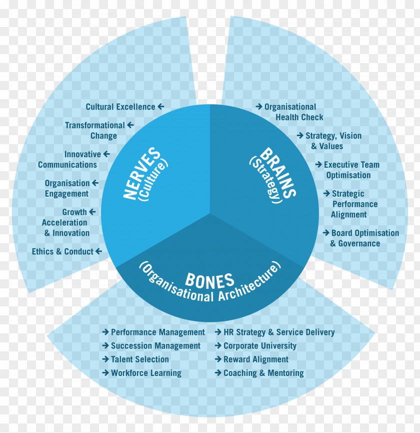 Management Philosophy Organization The Iclif Leadership And Governance Centre Resource Human Capital PNG