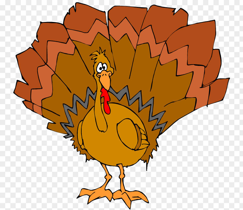 Thanksgiving Cartoons Pictures Turkey Meat Day Clip Art PNG