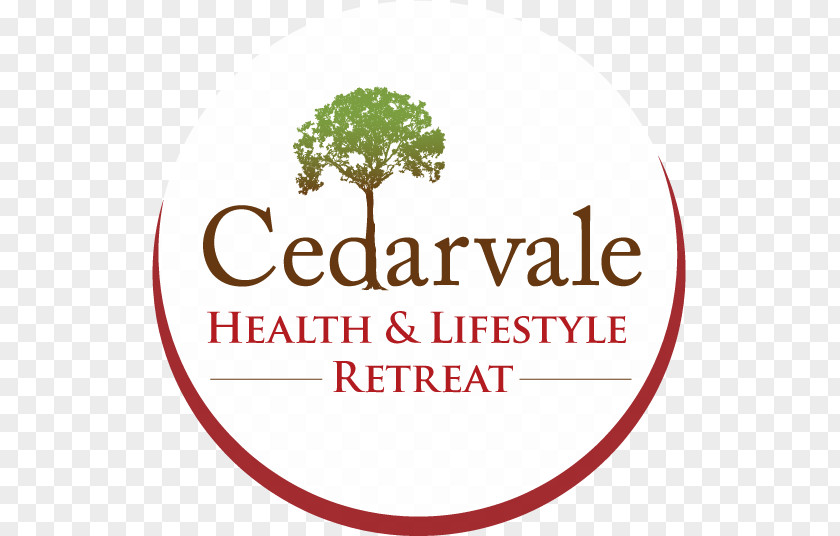 Activated Charcoal Cedarvale Health & Lifestyle Retreat Care Jeans Hospital PNG