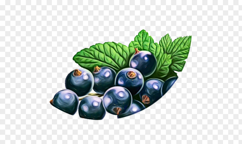 Currant Food Berry Bilberry Fruit Blueberry Plant PNG