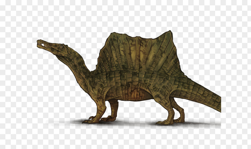 Dinosaur Tyrannosaurus Spinosaurus Velociraptor Lion PNG