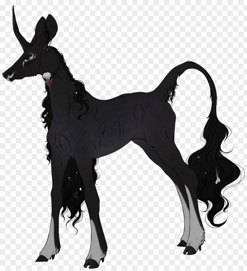 Dog Mustang Goat Pack Animal Freikörperkultur PNG
