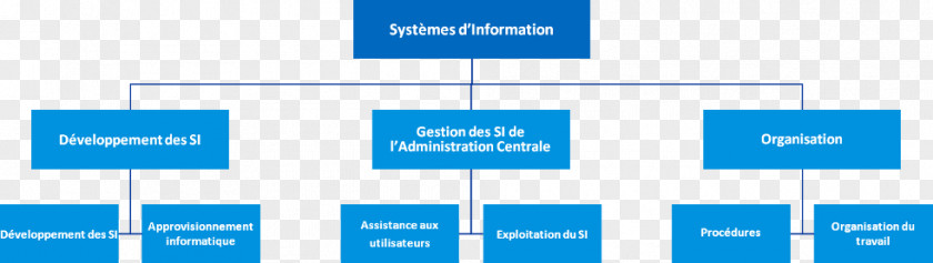 System Information Organizational Chart Chief Officer PNG