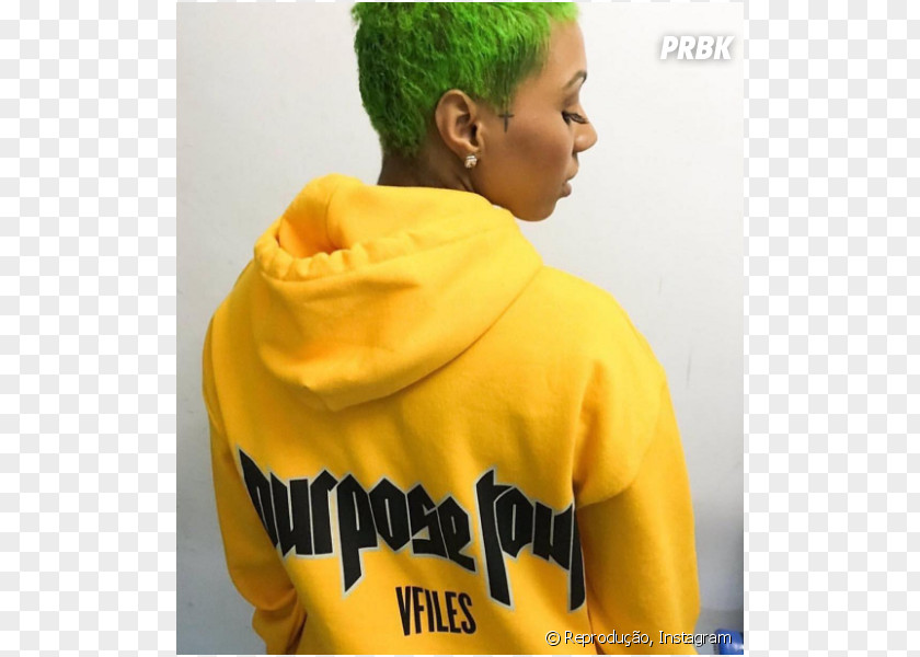 T-shirt Hoodie Purpose World Tour VFILES PNG