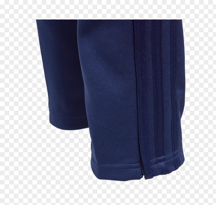 Training Pants Cobalt Blue Waist Shorts PNG
