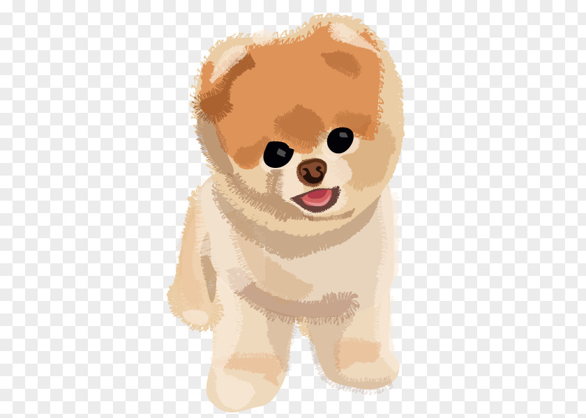 Boo Dog Transparent Image Pomeranian Puppy PNG
