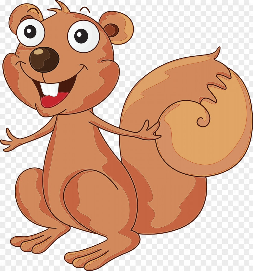 Cartoon Squirrel Nose Brown Bear Tail PNG