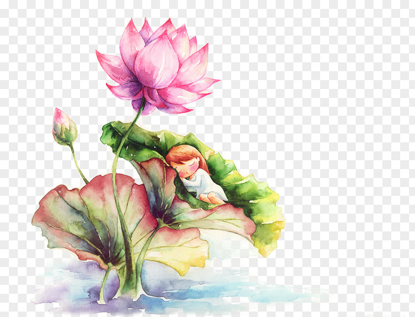 Colorful Hand-painted Lotus Image Watercolor Painting Nelumbo Nucifera PNG