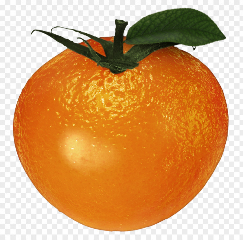 Grapefruit Clementine Tangerine Mandarin Orange Blood Tangelo PNG