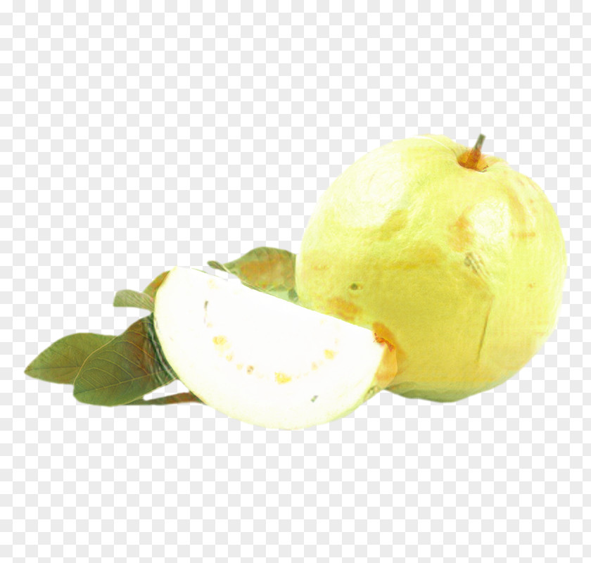 Guava Plant Apple Background PNG