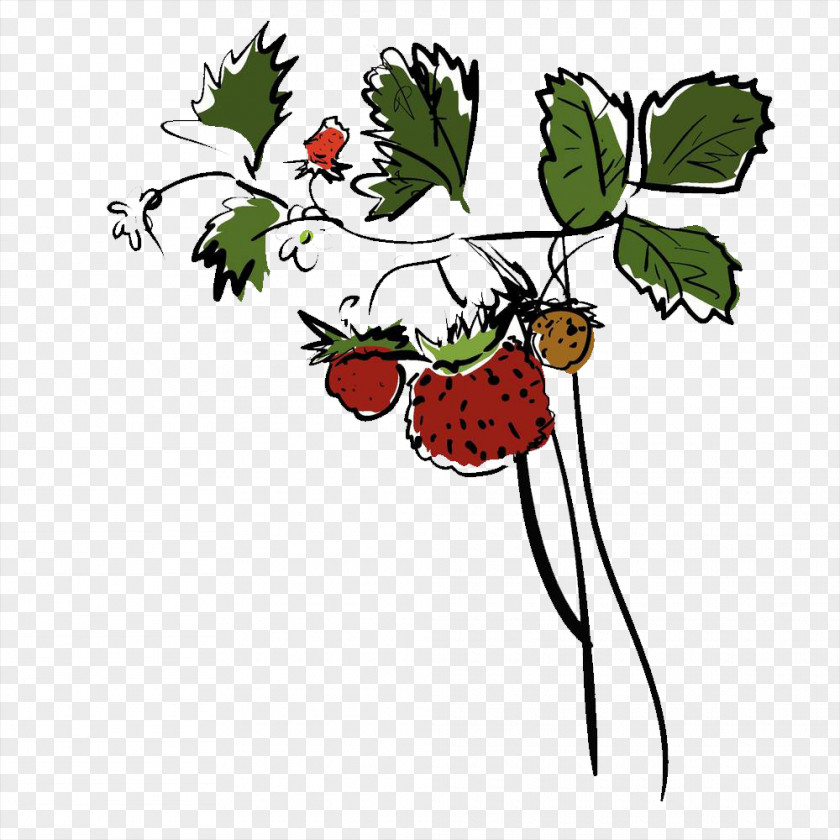 Hand-painted Strawberry Results Drawing PNG