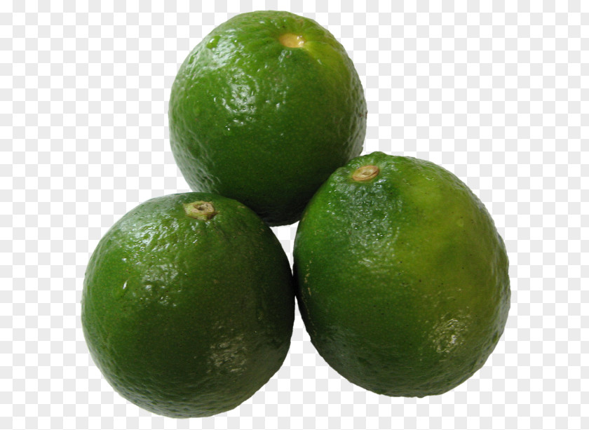 Lime Key Lemon Citron Tangelo PNG