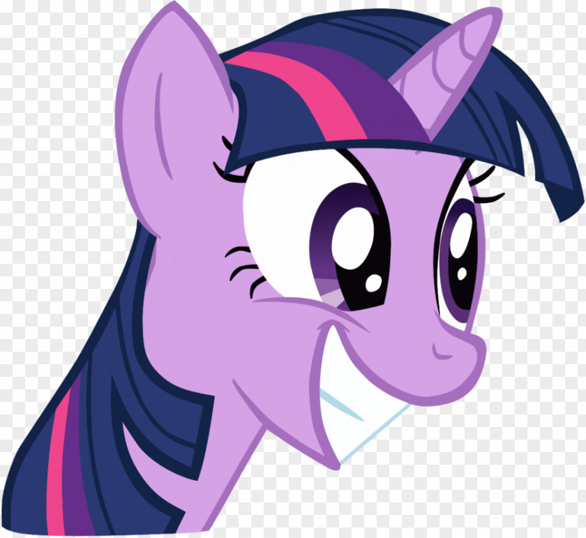 My Little Pony Twilight Sparkle Rainbow Dash Rarity Pinkie Pie PNG