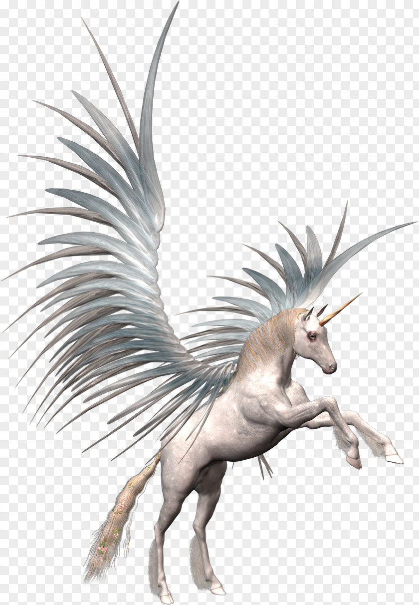 Pegasus Unicorn Clip Art PNG