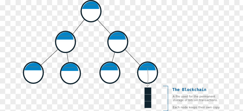 Bitcoin Network Brand Organization Point PNG