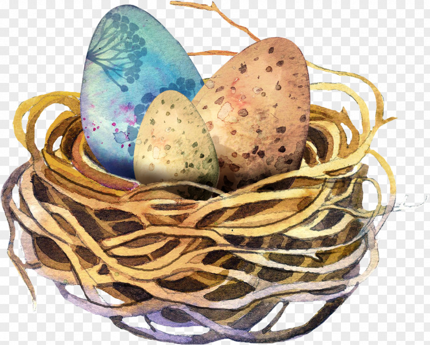 Eggs Easter Egg Watercolor Painting Clip Art PNG