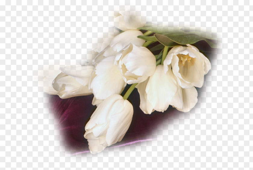 Flower Cut Flowers Bouquet Tulip Centerblog PNG