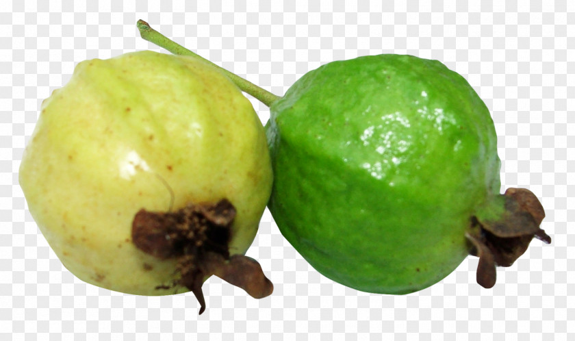Guava Common Fruit Lime PNG