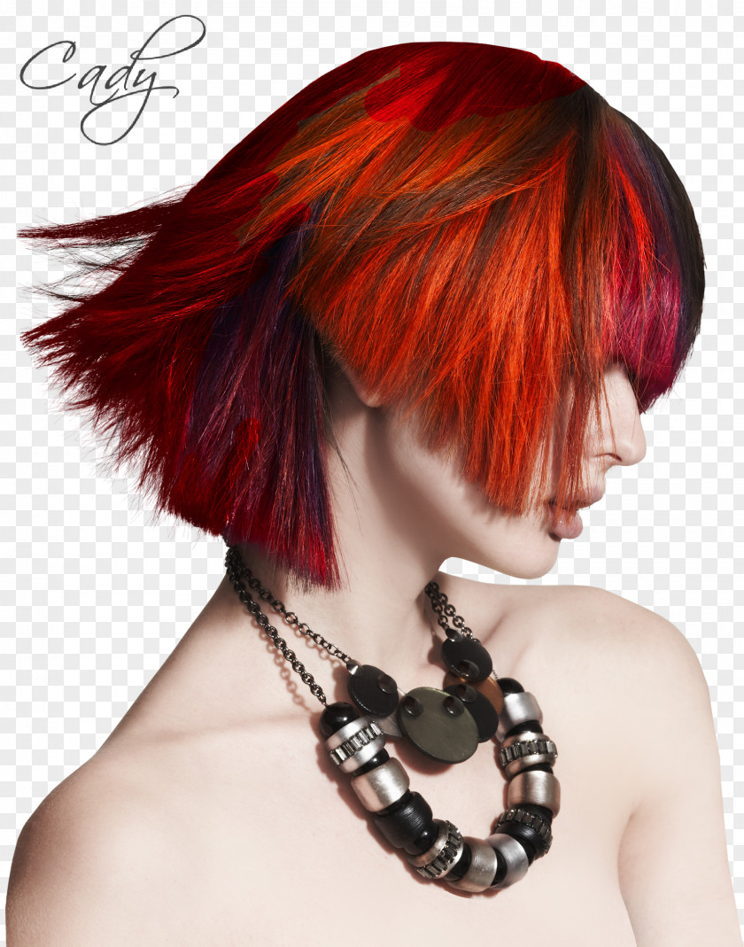 Hair Model Coloring Hairstyle Human Color PNG