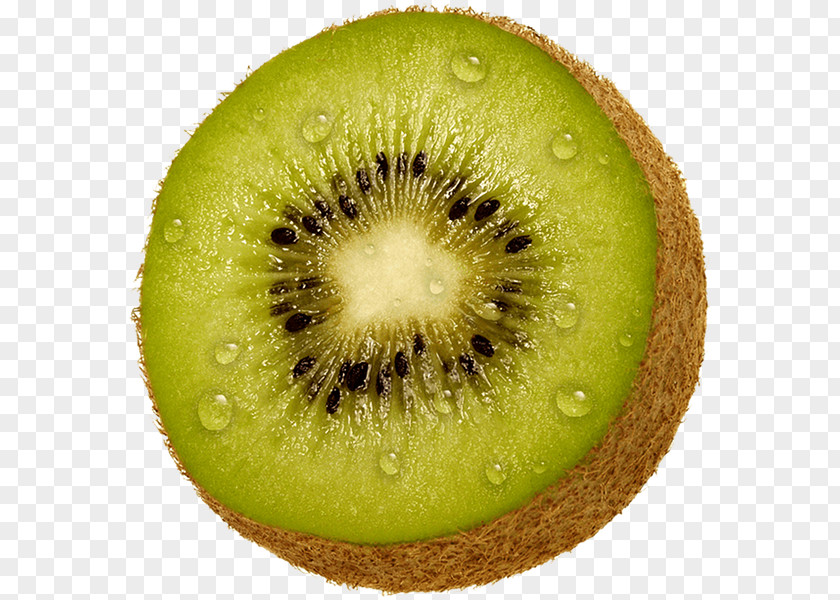 Image File Formats Kiwifruit Clip Art PNG