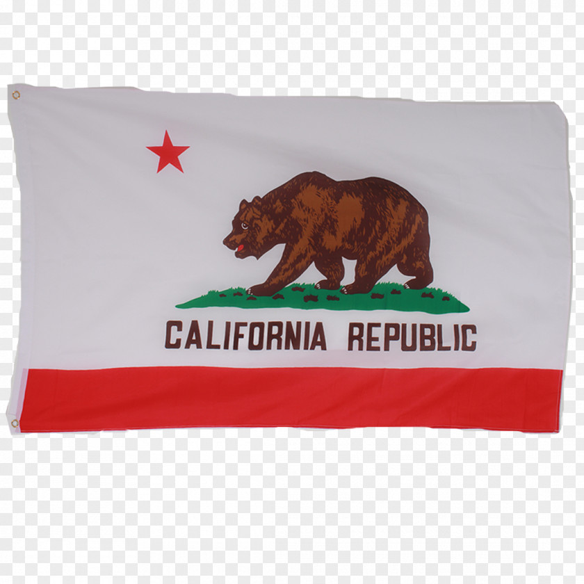 Rainbow Flag Of California Republic State PNG