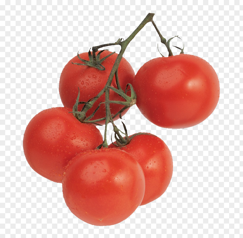 Bunch Of Delicious Tomatoes Tomato Juice Cherry Vegetable Ripening Food PNG