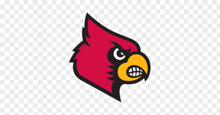 Cardinal Louisville Cardinals Men's Basketball University Of NCAA Division I Tournament Football Sport PNG