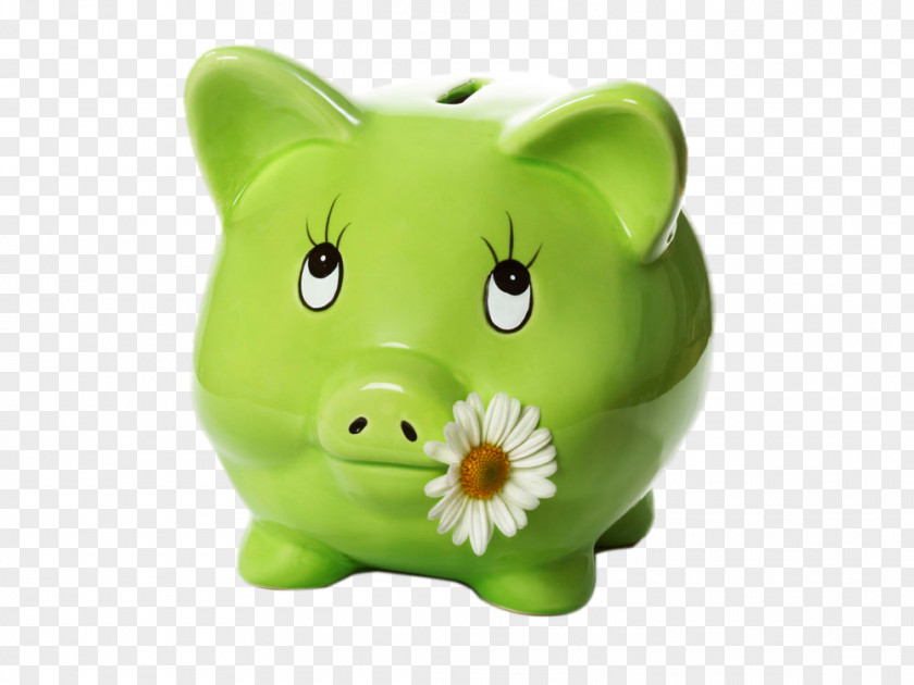 Cute Pig Piggy Bank Savings Account Green PNG