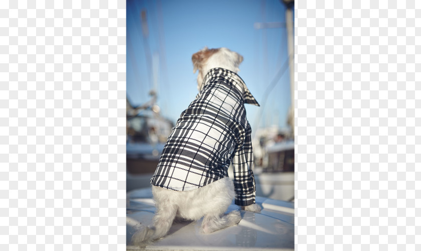 Dog Clothes Tartan Snout Clothing PNG