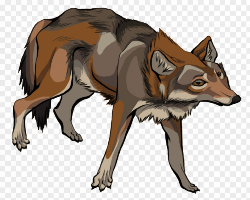 Fox Red Gray Wolf Coyote Jackal PNG