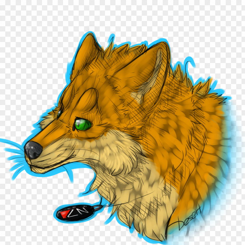 Fox Sketch Red Whiskers Snout Fauna PNG